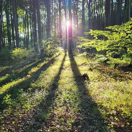 Appartement Haus Burmeister Sassnitz