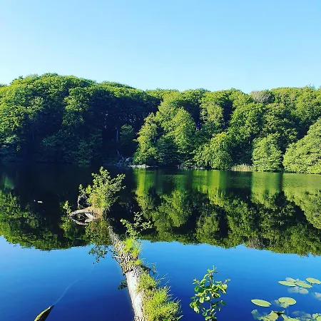 Appartement Haus Burmeister *